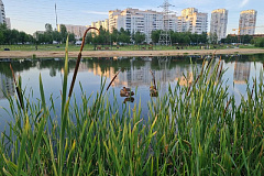  В Щербинке проходит весенний субботник 